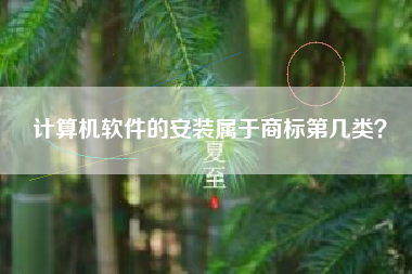 计算机软件的安装属于商标第几类？