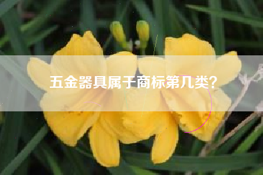 五金器具属于商标第几类？
