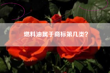 燃料油属于商标第几类？