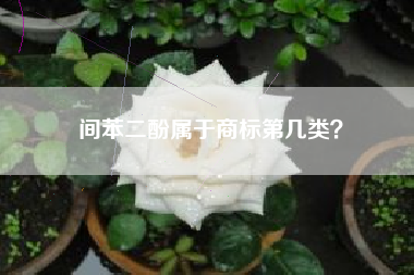 间苯二酚属于商标第几类？