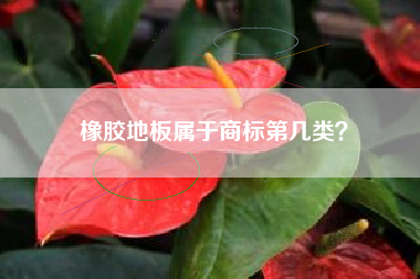 橡胶地板属于商标第几类？