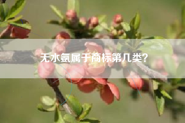 无水氨属于商标第几类？