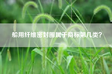 船用纤维密封圈属于商标第几类？