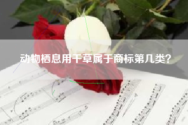 动物栖息用干草属于商标第几类？