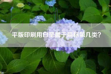 平版印刷用白垩属于商标第几类？