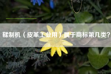 鞣制机（皮革工业用）属于商标第几类？