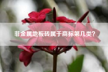 非金属地板砖属于商标第几类? 非金属地板砖属于商标第几类?