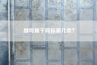 酵母属于商标第几类? 酵母属于商标第几类?
