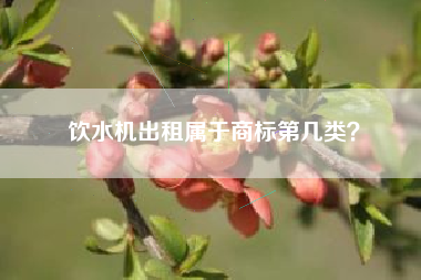 饮水机出租属于商标第几类？