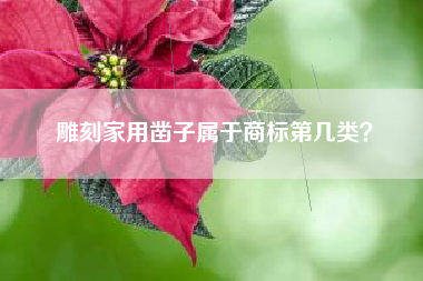 雕刻家用凿子属于商标第几类？