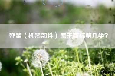 弹簧（机器部件）属于商标第几类？