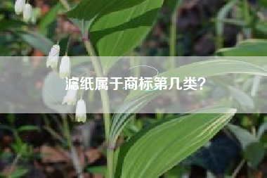 滤纸属于商标第几类？