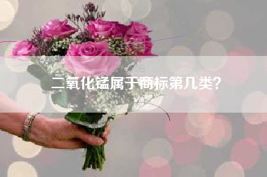 二氧化锰属于商标第几类？