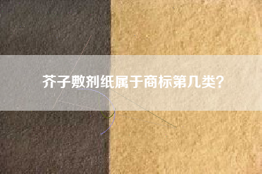 芥子敷剂纸属于商标第几类？