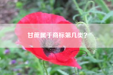 甘蔗属于商标第几类？