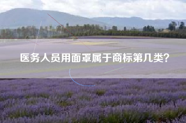 医务人员用面罩属于商标第几类？