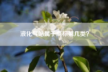 液化气站属于商标第几类？