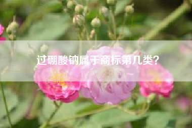 过硼酸钠属于商标第几类？