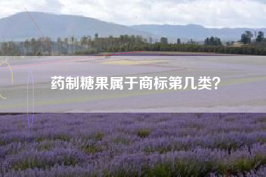 药制糖果属于商标第几类？