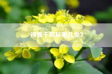 钕属于商标第几类？