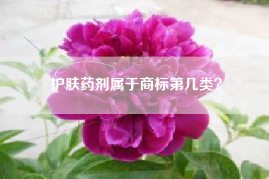 护肤药剂属于商标第几类? 护肤药剂属于商标第几类?