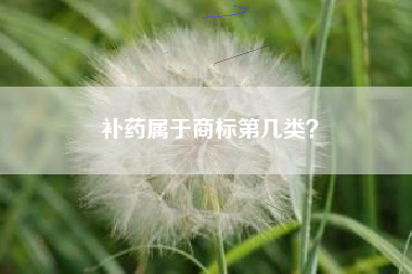 补药属于商标第几类? 补药属于商标第几类?