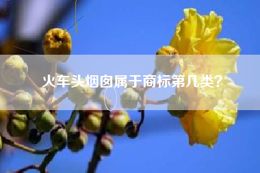 火车头烟囱属于商标第几类？