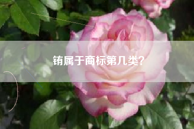 铕属于商标第几类？