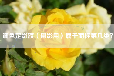 调色定影液（摄影用）属于商标第几类？