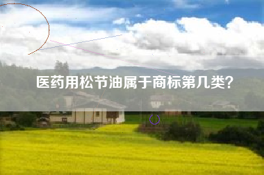 医药用松节油属于商标第几类？