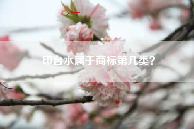 印台水属于商标第几类？