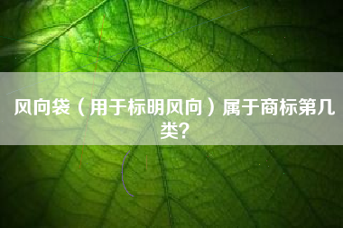 风向袋（用于标明风向）属于商标第几类？