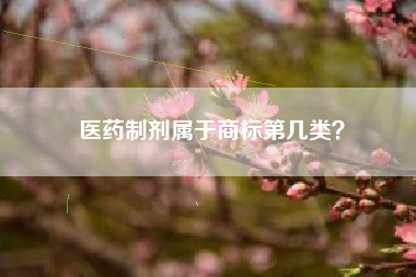 医药制剂属于商标第几类? 医药制剂属于商标第几类?