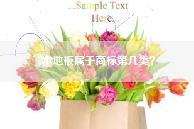 木地板属于商标第几类? 木地板属于商标第几类?