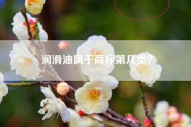 润滑油属于商标第几类? 润滑油属于商标第几类?