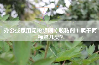 办公或家用淀粉浆糊（胶粘剂）属于商标第几类？
