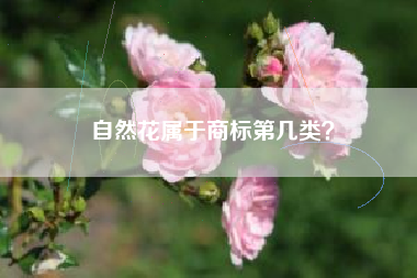 自然花属于商标第几类? 自然花属于商标第几类?