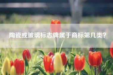 陶瓷或玻璃标志牌属于商标第几类？