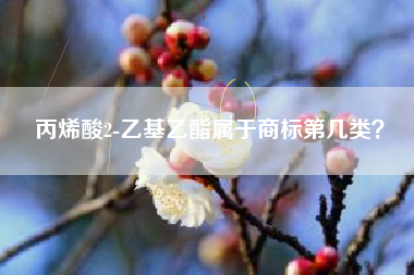 丙烯酸2-乙基乙酯属于商标第几类？