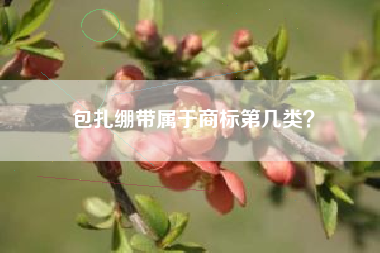 包扎绷带属于商标第几类？