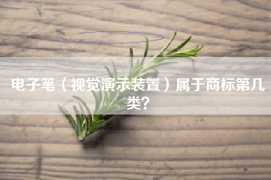 电子笔（视觉演示装置）属于商标第几类？