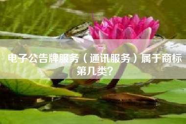 电子公告牌服务（通讯服务）属于商标第几类？