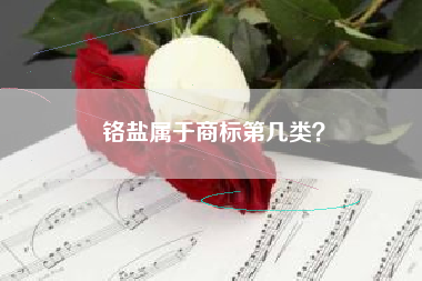 铬盐属于商标第几类？
