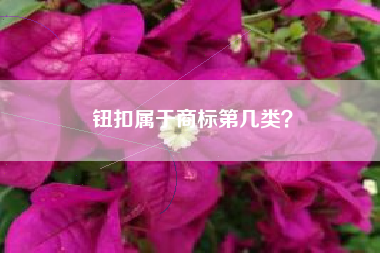 钮扣属于商标第几类？