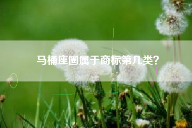 马桶座圈属于商标第几类？