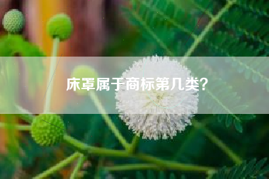 床罩属于商标第几类？
