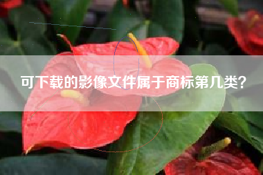 可下载的影像文件属于商标第几类? 可下载的影像文件属于商标第几类?