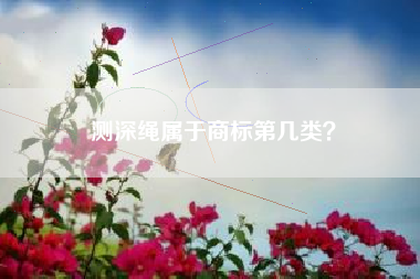 测深绳属于商标第几类？
