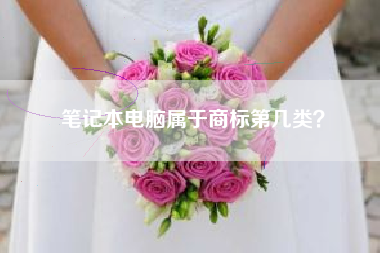 笔记本电脑属于商标第几类？