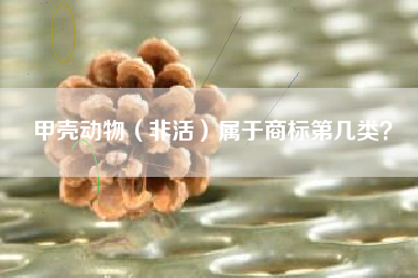甲壳动物（非活）属于商标第几类？